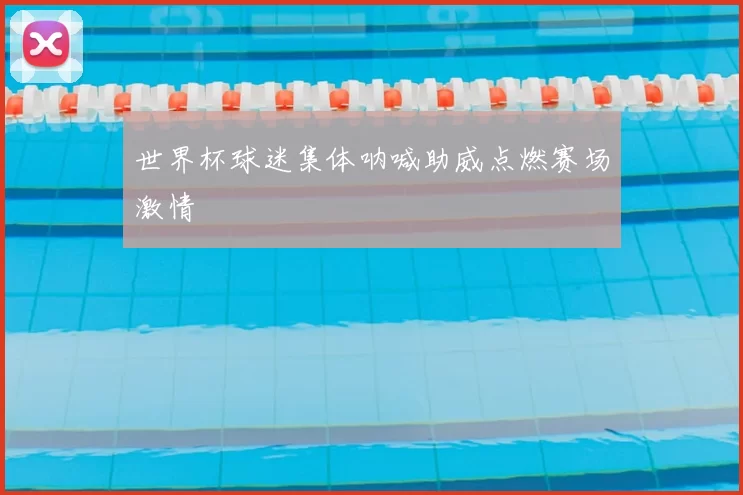 世界杯球迷集体呐喊助威点燃赛场激情