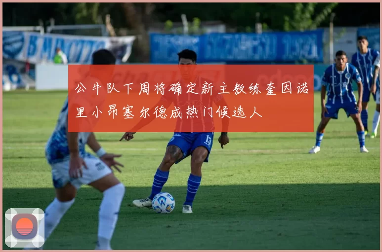 公牛队下周将确定新主教练奎因诺里小昂塞尔德成热门候选人