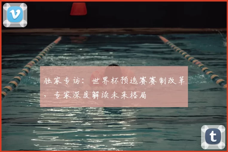 独家专访：世界杯预选赛赛制改革，专家深度解读未来格局