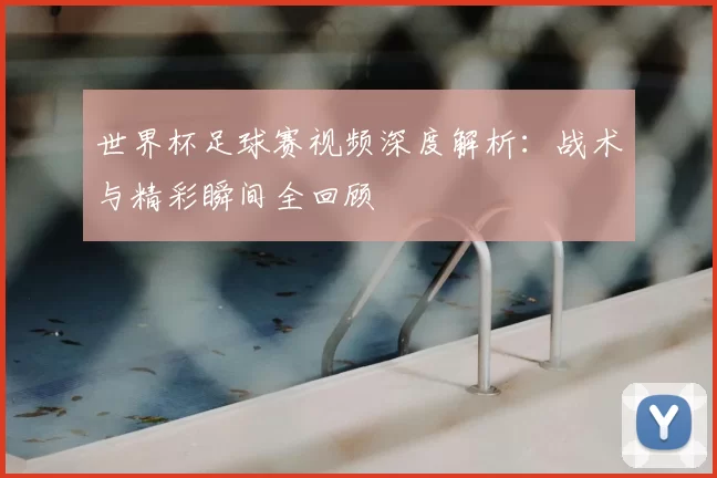 世界杯足球赛视频深度解析：战术与精彩瞬间全回顾