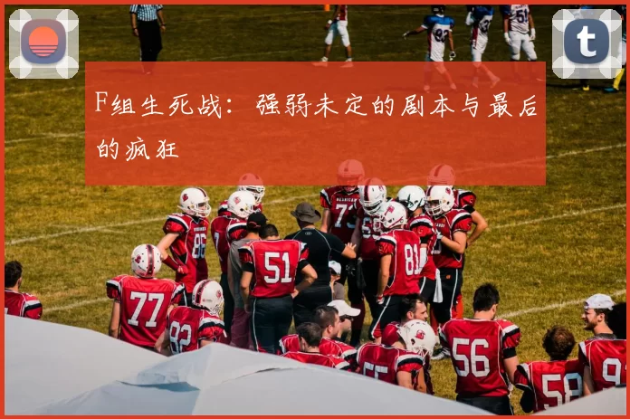 F组生死战:强弱未定的剧本与最后的疯狂