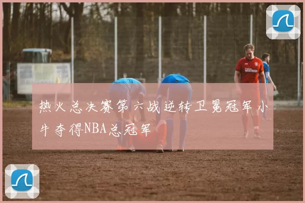 热火总决赛第六战逆转卫冕冠军小牛夺得NBA总冠军