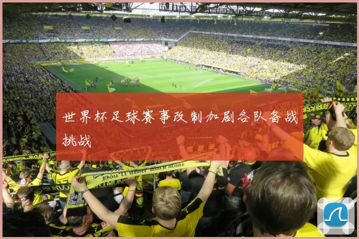 世界杯足球赛事改制加剧各队备战挑战