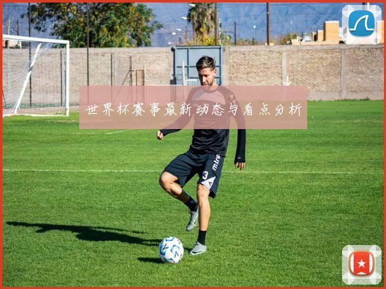 世界杯赛事最新动态与看点分析