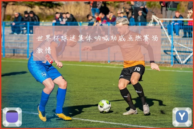 世界杯球迷集体呐喊助威点燃赛场激情