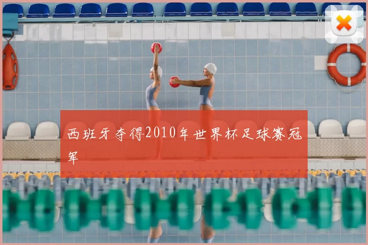 西班牙夺得2010年世界杯足球赛冠军