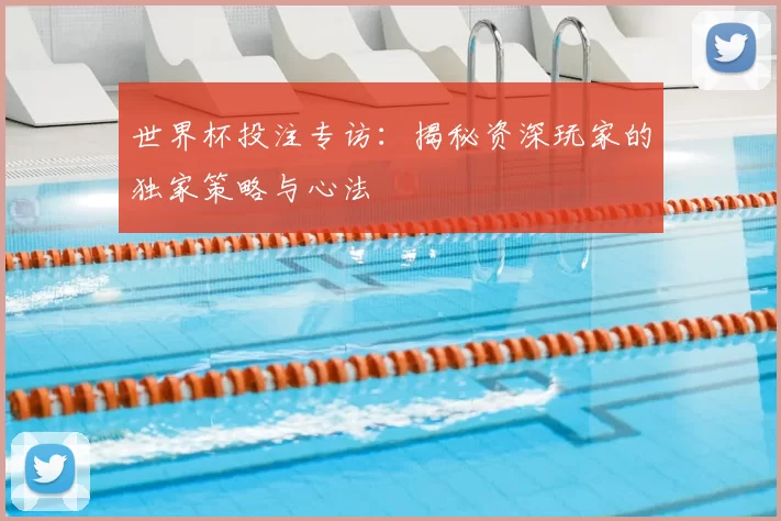 世界杯投注专访:揭秘资深玩家的独家策略与心法