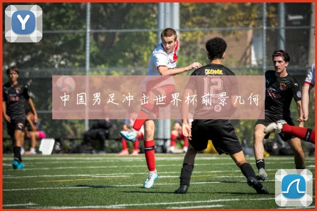 中国男足冲击世界杯前景几何