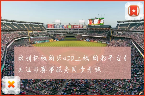 欧洲杯线购买app上线 购彩平台引关注与赛事服务同步升级