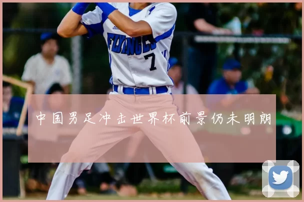 中国男足冲击世界杯前景仍未明朗