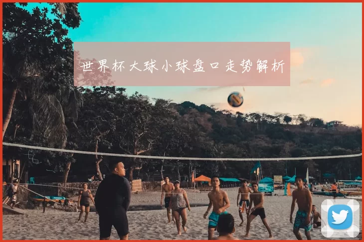 世界杯大球小球盘口走势解析