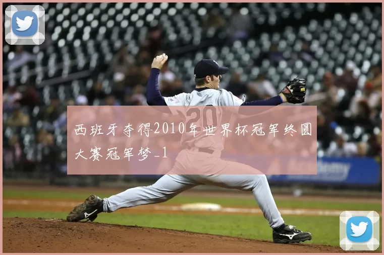 西班牙夺得2010年世界杯冠军终圆大赛冠军梦_1