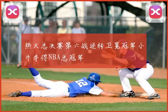 热火总决赛第六战逆转卫冕冠军小牛夺得NBA总冠军