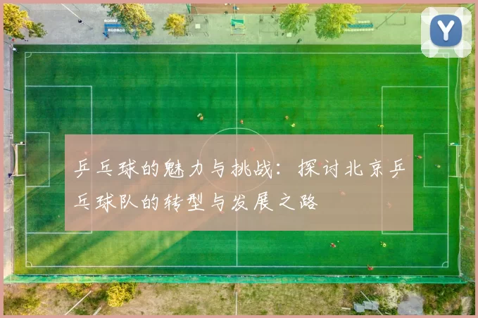 乒乓球的魅力与挑战:探讨北京乒乓球队的转型与发展之路