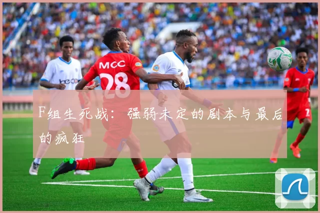 F组生死战:强弱未定的剧本与最后的疯狂